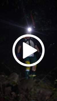 BIB:  <button type="button" onclick="openModal(27570511)" class="btn btn-primary btn-sm float-right" data-toggle="modal" data-target=".modal-high-quality">
                <i class="fa fa-download"></i> Download
                </button>